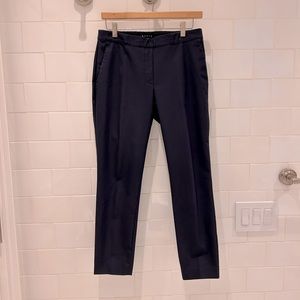 Navy Theory pants